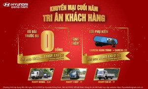 Tri an khach hang Hyundai dong Nam mien phi truoc ba xe tai Hyundai image002 1607518337 399 width602height361