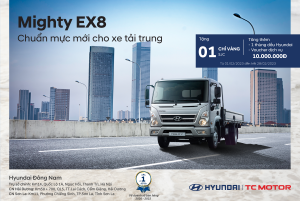 FB KM EX8