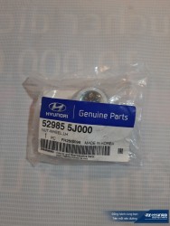 Ê cu tắc kê sau (LH) HD 3,5T - 5298555J000