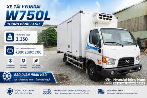 Hyundai W750L 3.5 tấn thùng đông lạnh thùng dài 5m