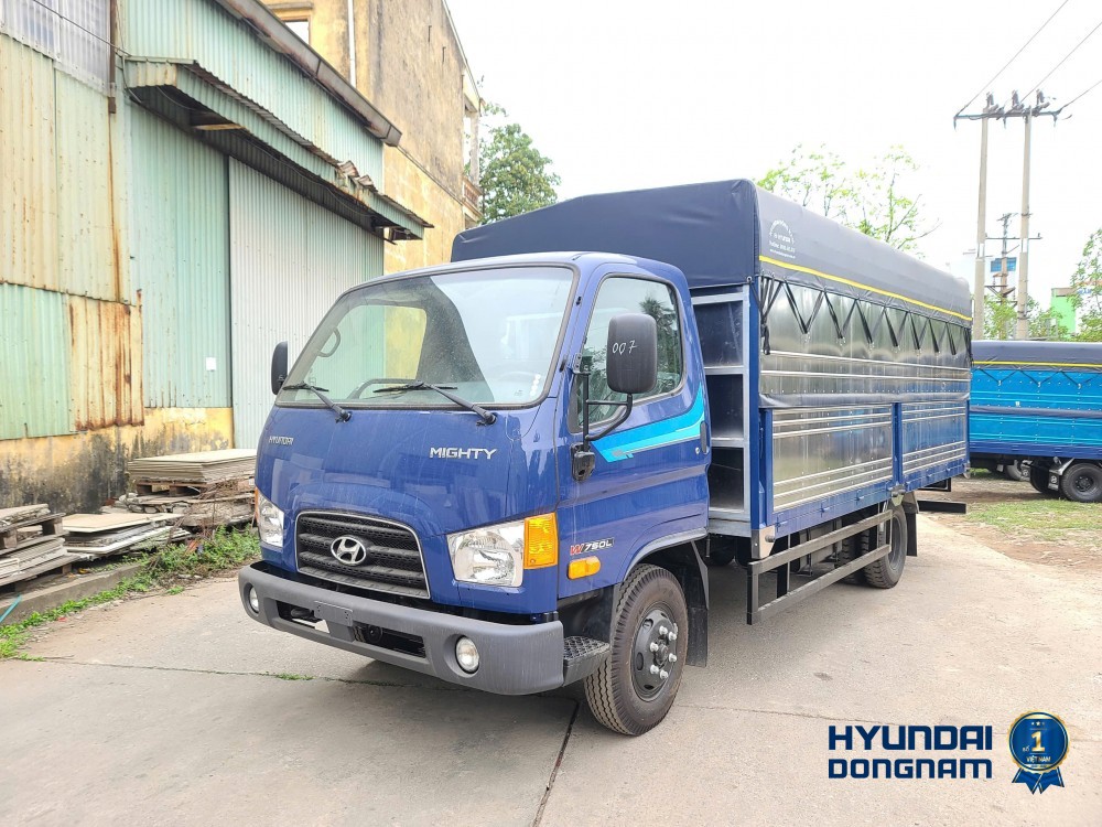 W750L TMB (3)