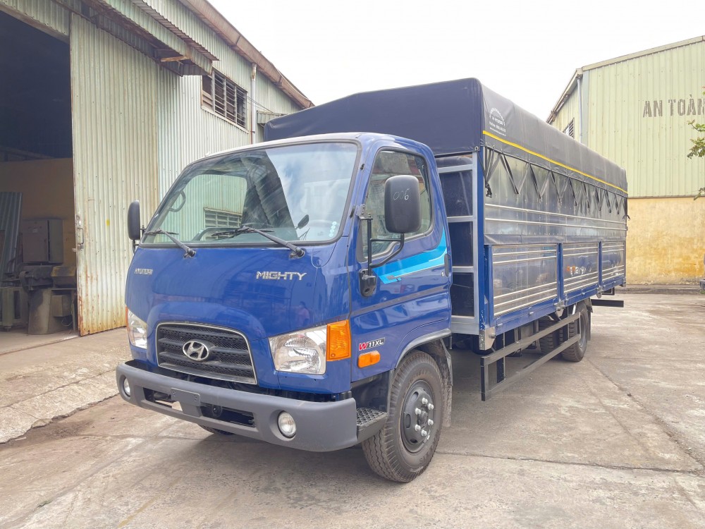 W11XL TMB (3)