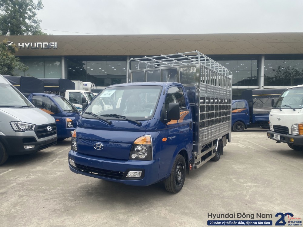 H150 chở gia súc