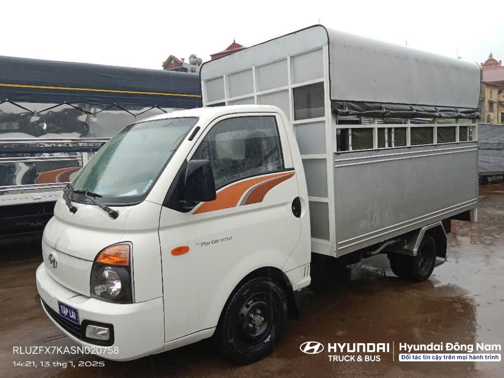 Pic H150 Tập Lái (7)