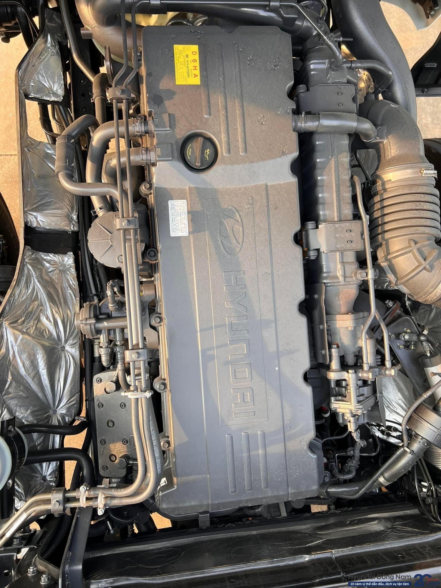 Động cơ D6HA xe HD1000 Euro5