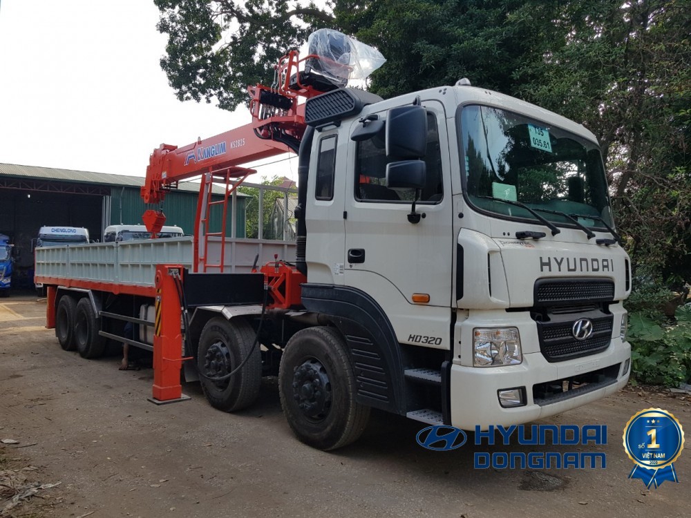 Hyundai HD320 Cần cẩu 12 tấn (4)